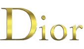 logo-hãng-dior